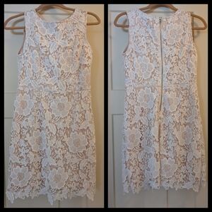 LOFT | Lace Dress